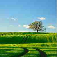 自‌动﻿搜‍索​算‍法‍教﻿程‍